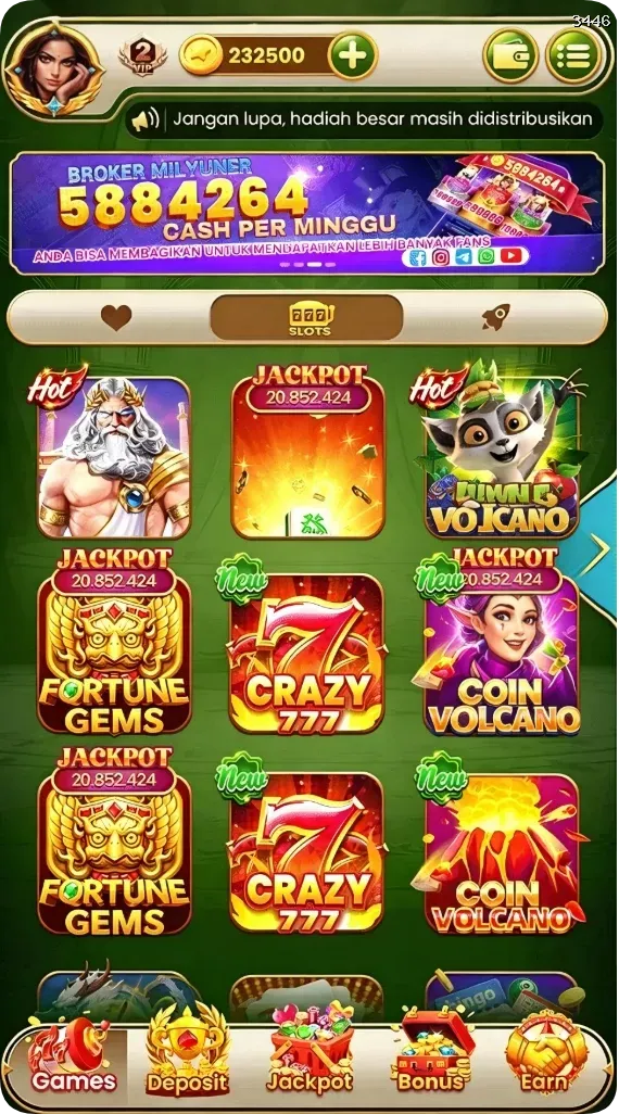 3446 APK